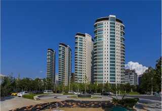 濮阳网站建设网站建设一条龙服务